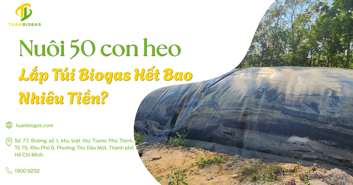 Chi Phí Lắp Túi Biogas Cho Trang Trại Nuôi 50 Con Heo Hết Bao Nhiêu Tiền?